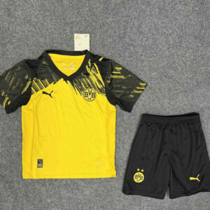 Borussia Dortmund Home